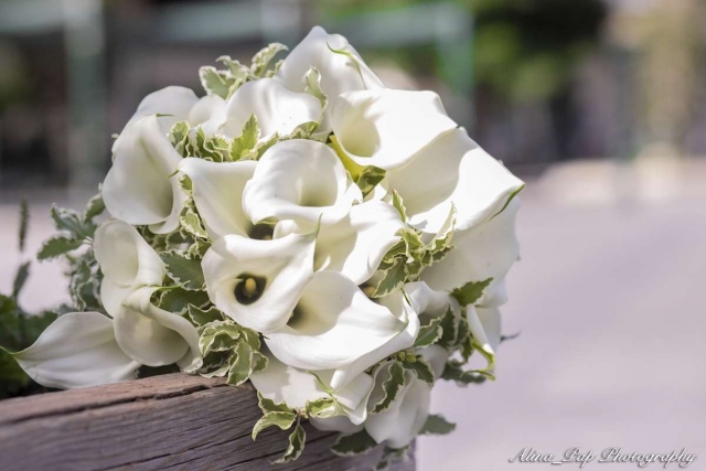 αλμπουμ φωτογραφιων τιμεσ αθηνα